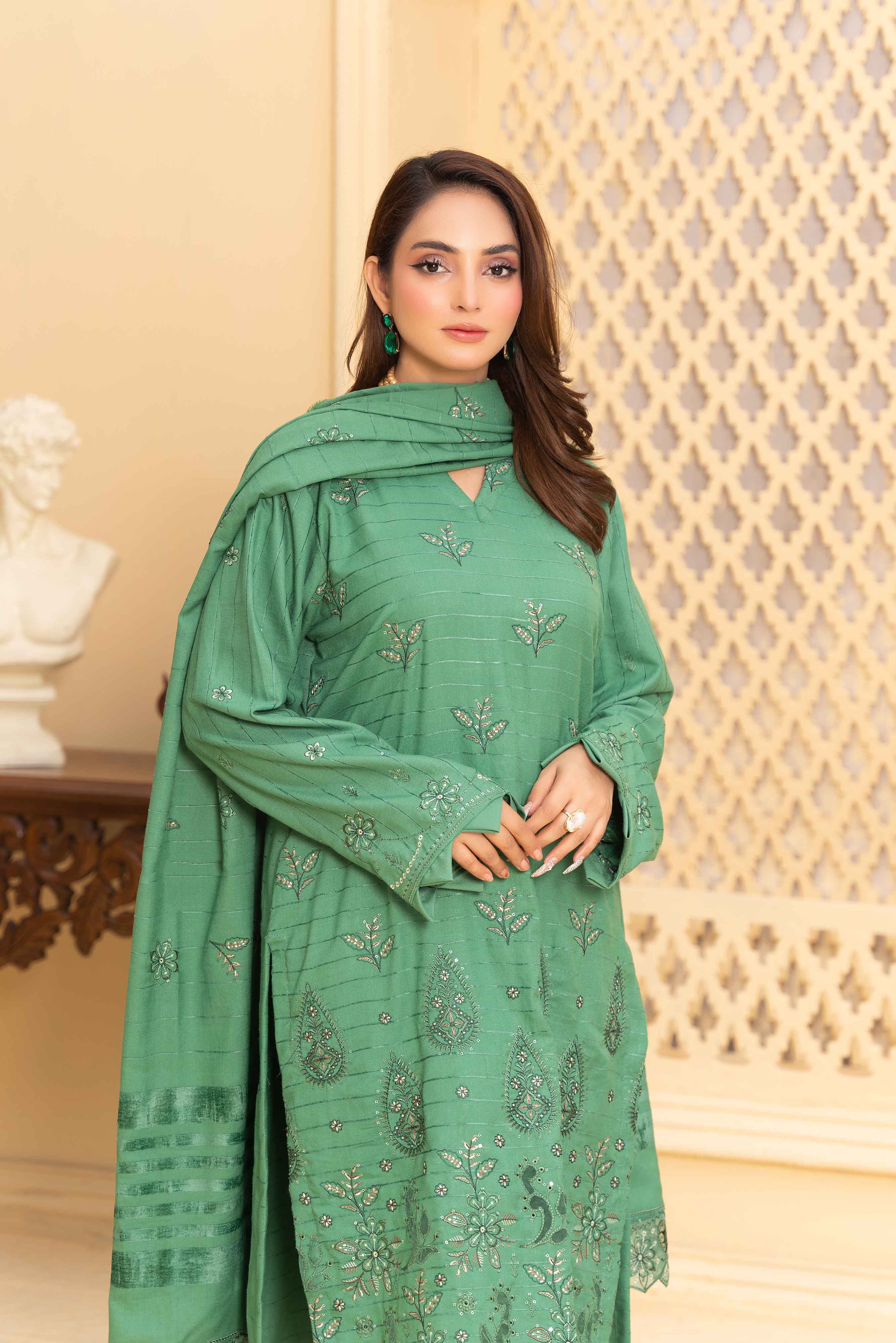 Pistachio 3 Pcs Dhanak Embroidered Applique suit