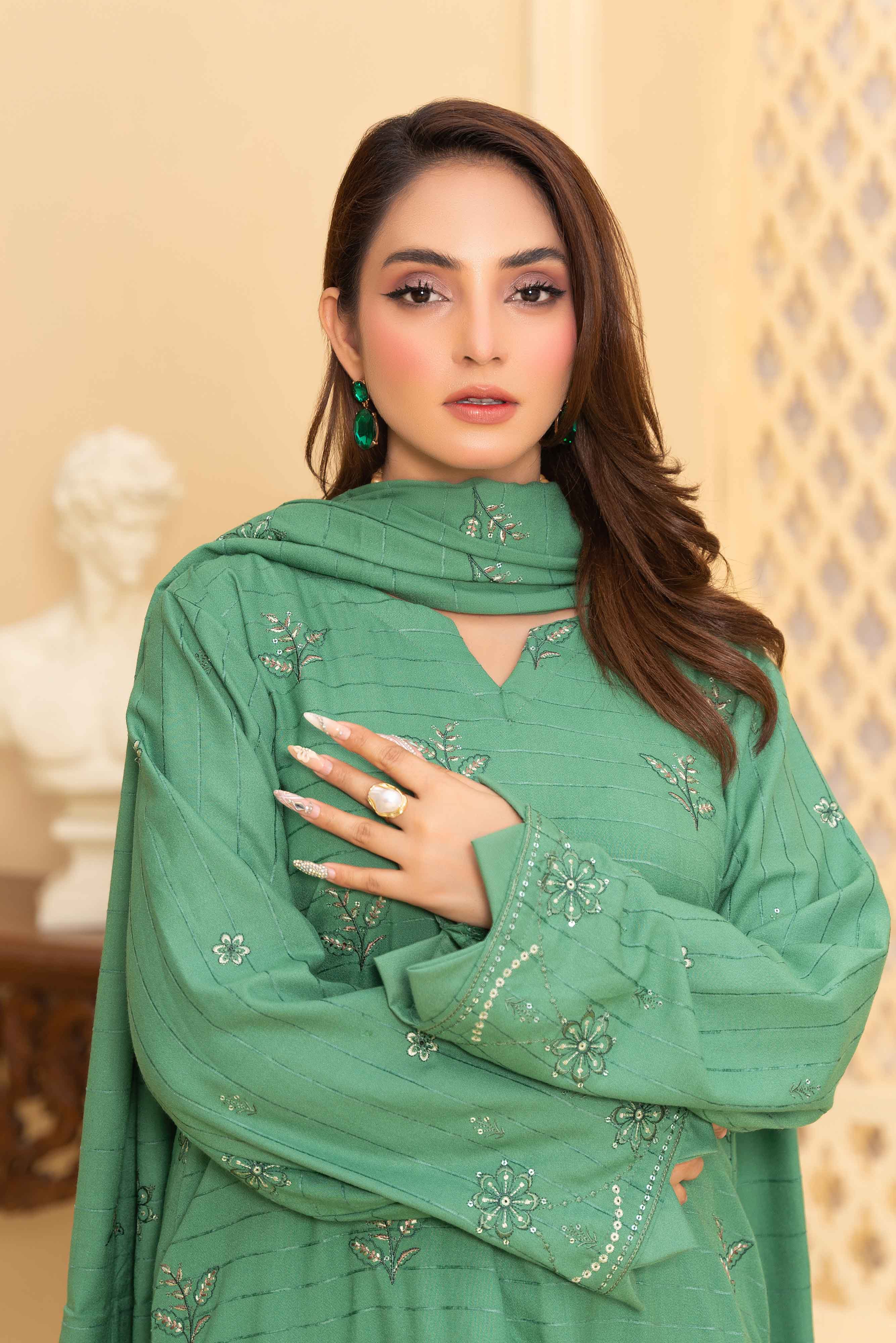 Pistachio 3 Pcs Dhanak Embroidered Applique suit